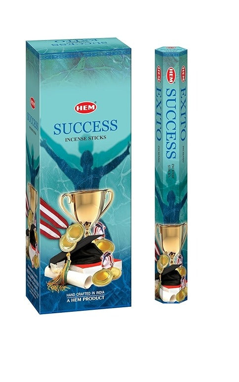 Hem Success Incense Sticks - 120 Stick Bulk Box (6 Inner Tubes of 20)