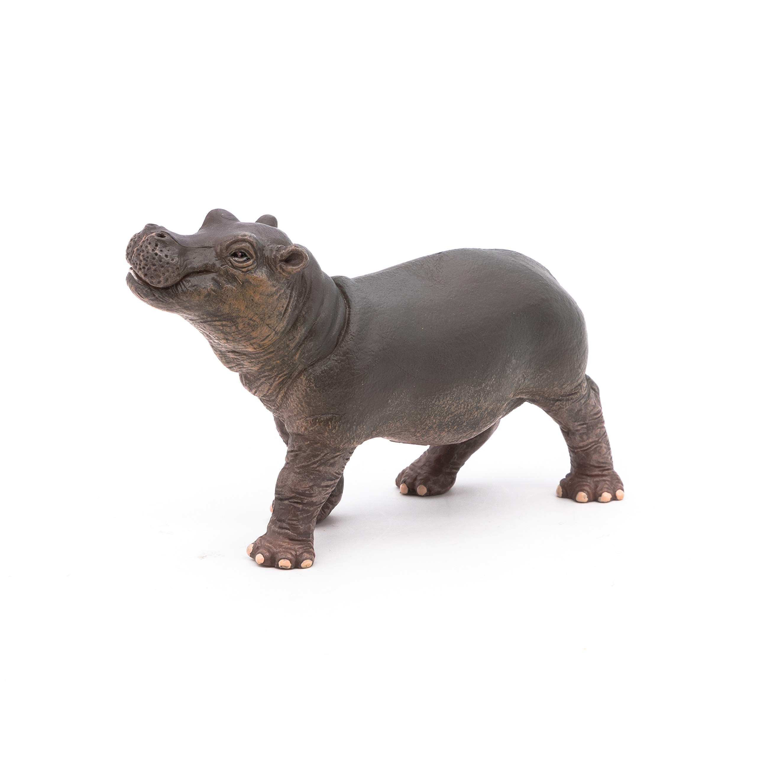 Papo Hippopotamus Calf - Hand Painted Figurine - Heirloom Quality Collectible (50052)