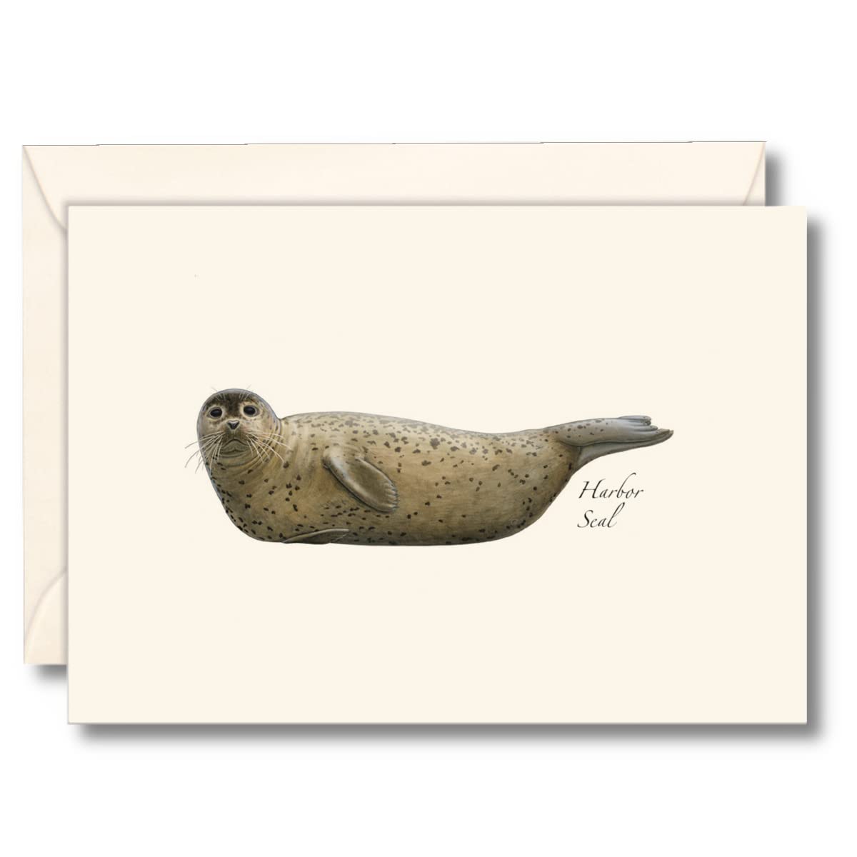 Earth Sky + Water - Harbor Seal Notecard Set - 8 Blank Cards with Envelopes