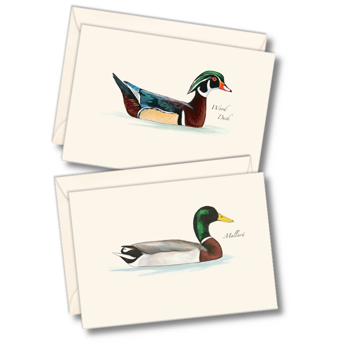 Earth Sky + Water - Sibley Duck Assortment Notecard Set - 8 Blank Cards with Envelopes (4 each of 2 styles)