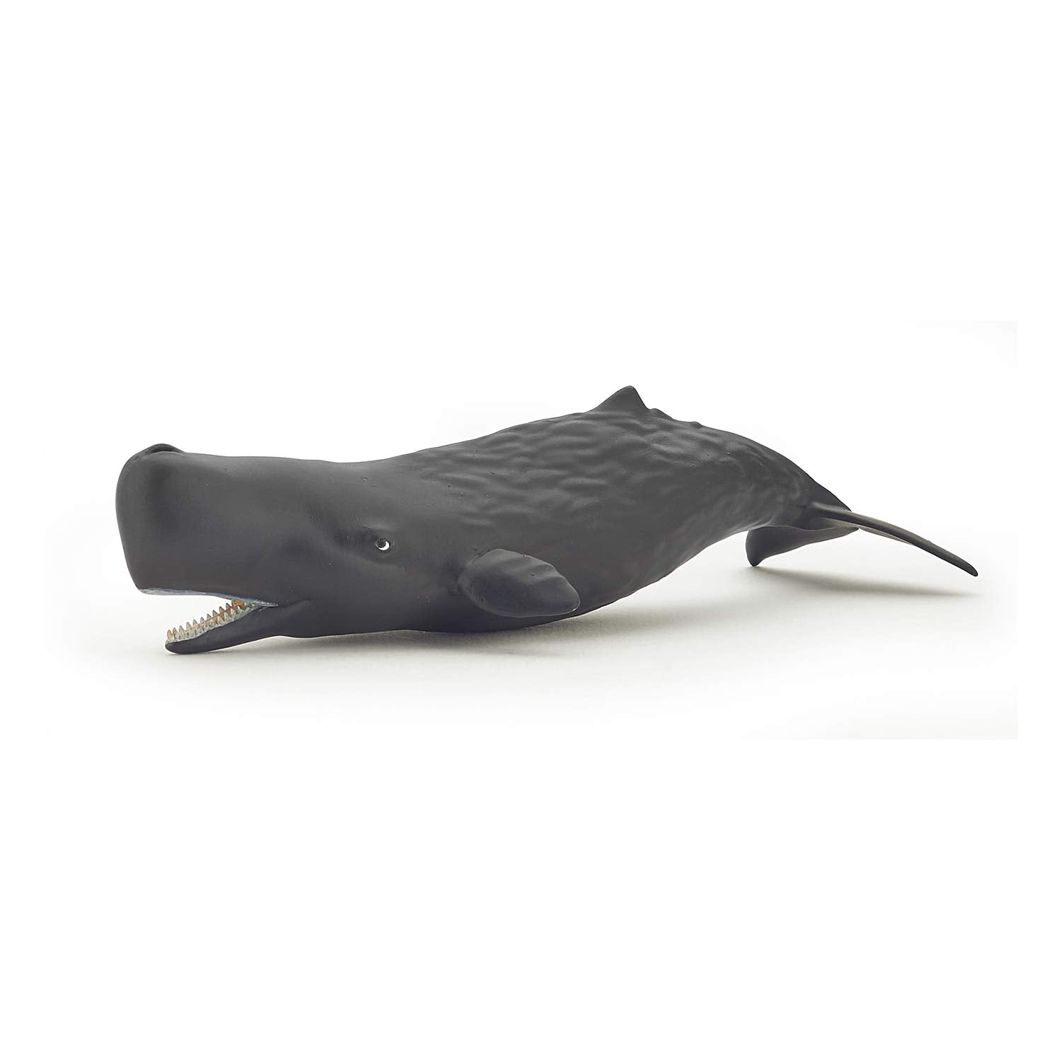 Papo Sperm Whale Calf - Hand Painted Figurine - Heirloom Quality Collectible (56045)