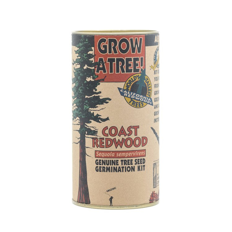 Coast Redwood - Seed Grow Kit by Jonsteen Company