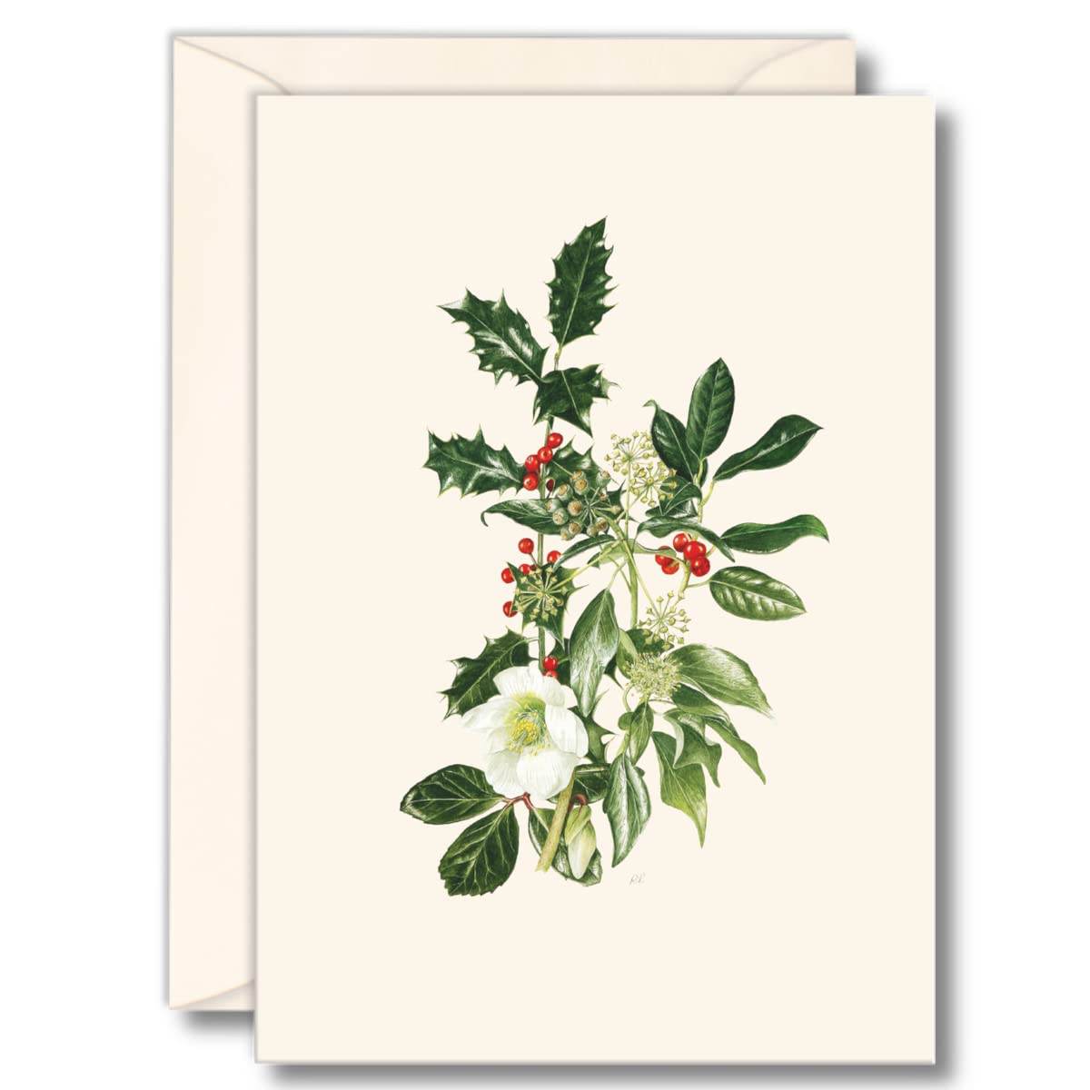 Earth Sky + Water - Hellebore & Holly Notecard Set - 8 Blank Cards with Envelopes