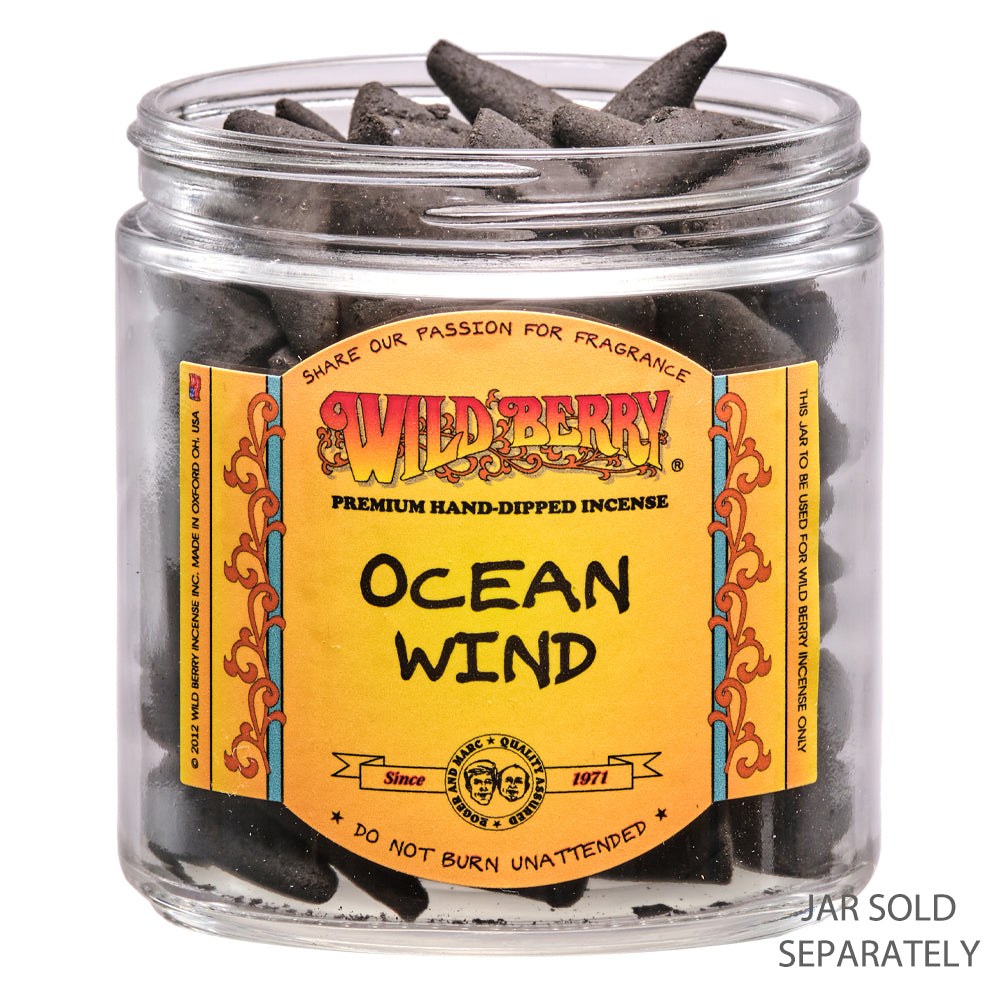Wild Berry Ocean Wind Incense Cones, 100 Count