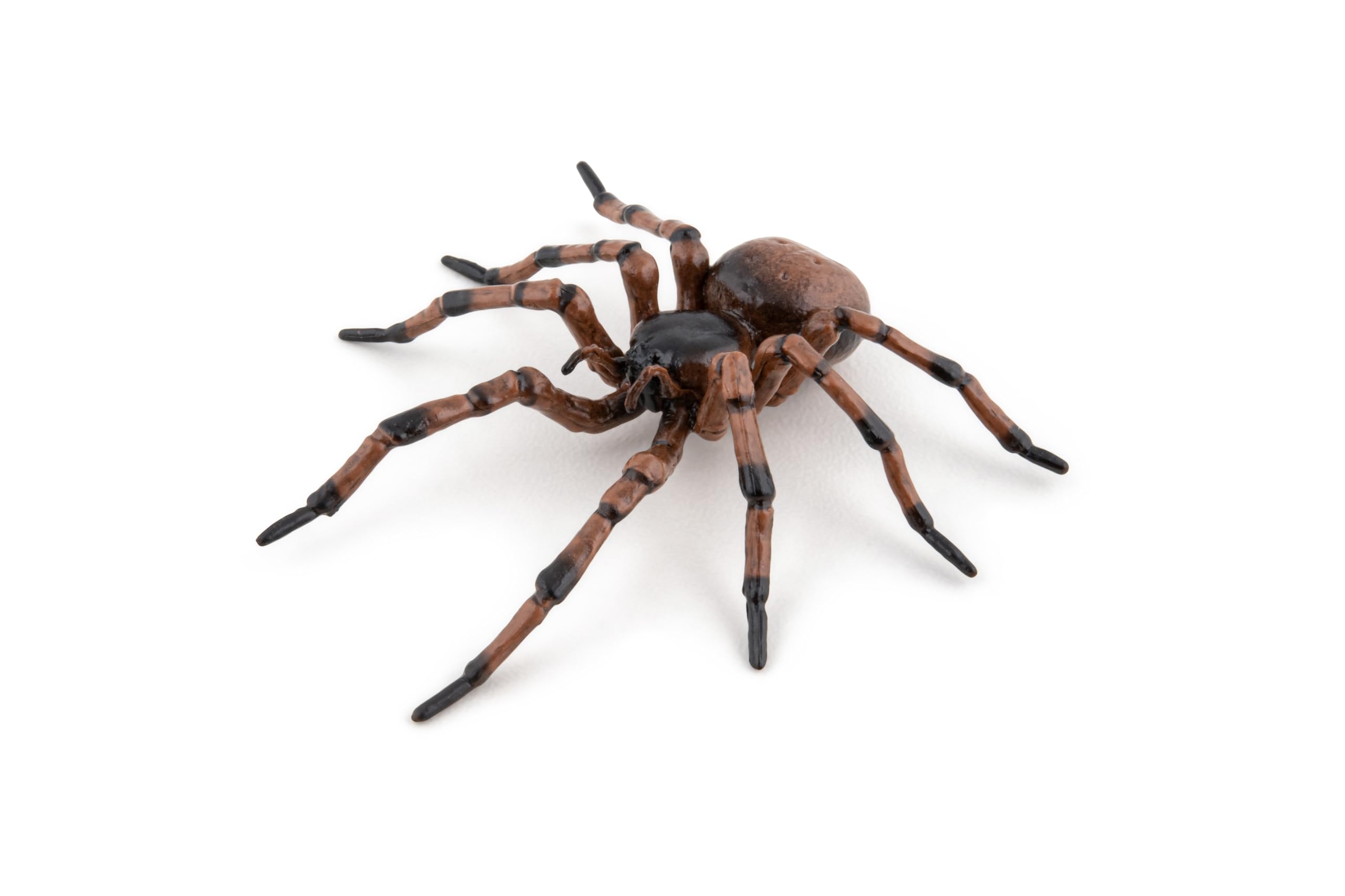 Papo Common Spider Hand Painted Figurine - Heirloom Quality Collectible No. 50292