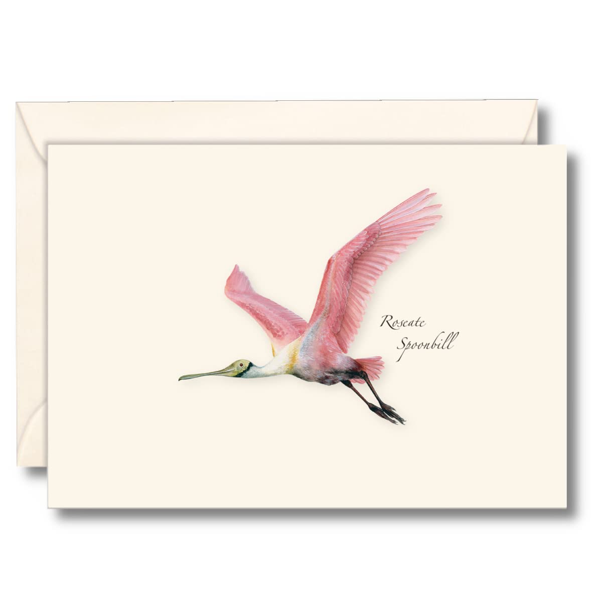 Earth Sky + Water - Roseate Spoonbill Notecard Set - 8 Blank Cards with Envelopes
