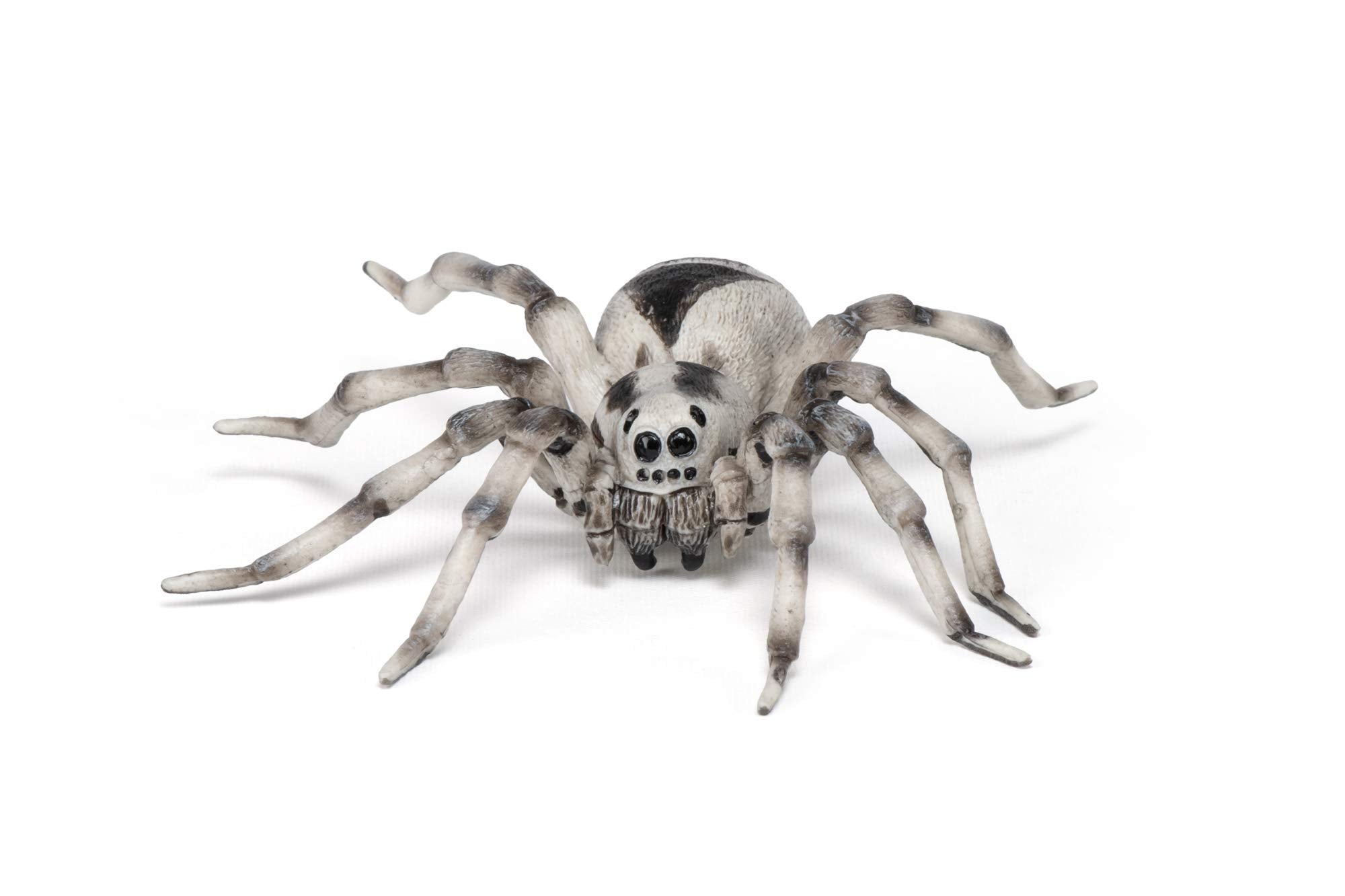 Papo Tarantula - Hand Painted Figurine - Heirloom Quality Collectible (50190)