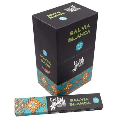 Caja de regalo de varillas de incienso espiritual Tribal Soul con soporte de cerámica para 12 paquetes (salvia blanca)