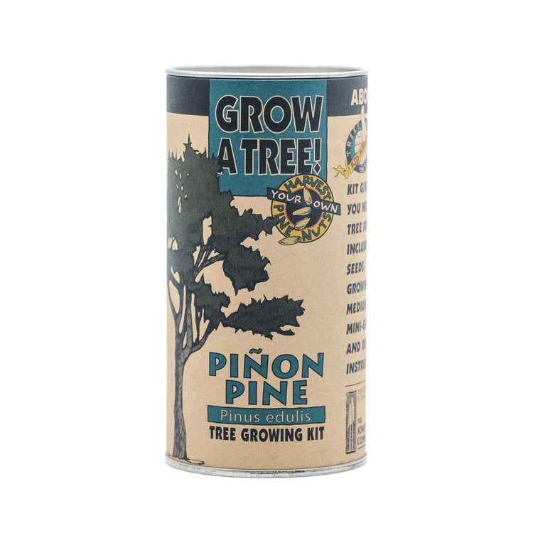 Pion Pine - Seed Grow Kit by Jonsteen Company