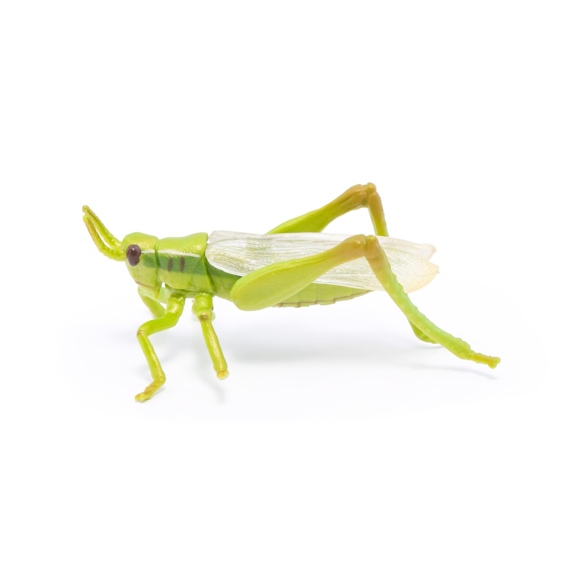 Papo Grasshopper - Hand Painted Figurine - Heirloom Quality Collectible (50268)