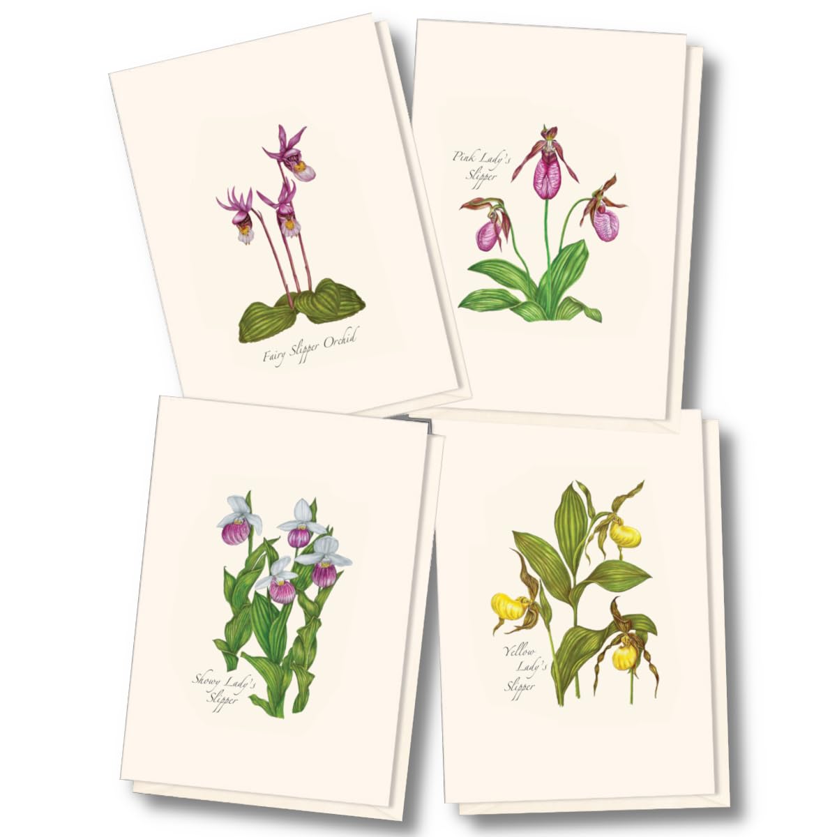 Earth Sky + Water - Native Orchid Assortment Assortment Notecard Set - 8 Blank Cards with Envelopes (2 each of 4 styles)