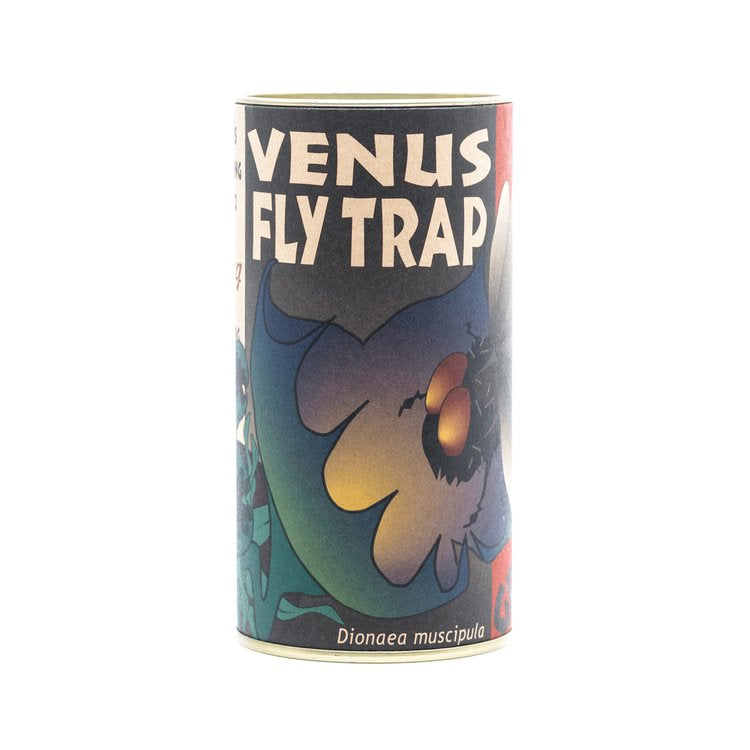 Venus Flytrap - Seed Grow Kit by Jonsteen Company