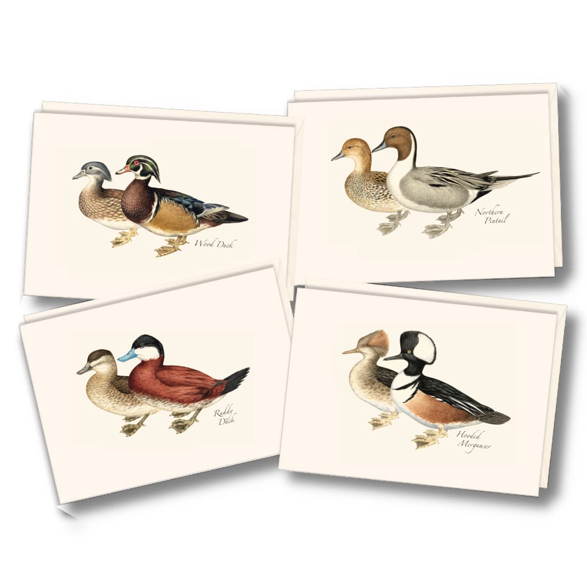 Earth Sky + Water - Duck Assortment Notecard Set - 8 Blank Cards with Envelopes (2 each of 4 styles)