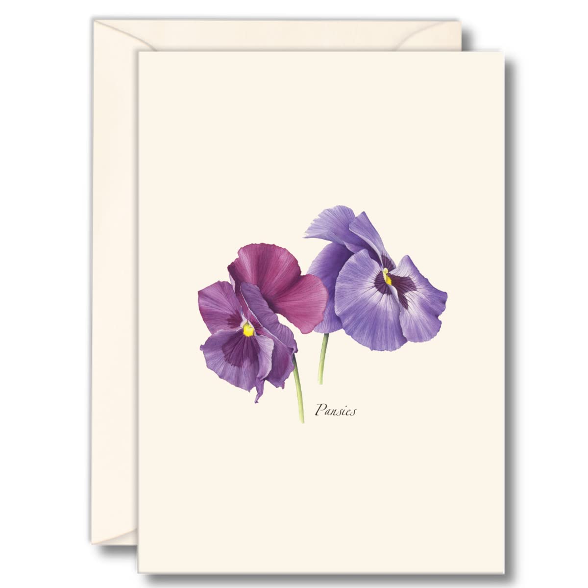 Earth Sky + Water - Pansies Notecard Set - 8 Blank Cards with Envelopes