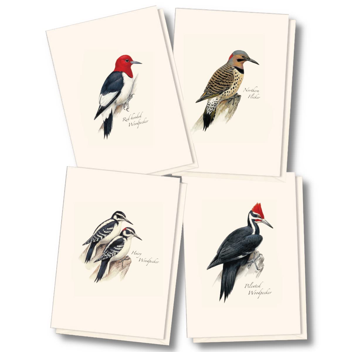 Earth Sky + Water - Petersons Woodpecker Assortment Notecard Set - 8 Blank Cards with Envelopes (2 each of 4 styles)