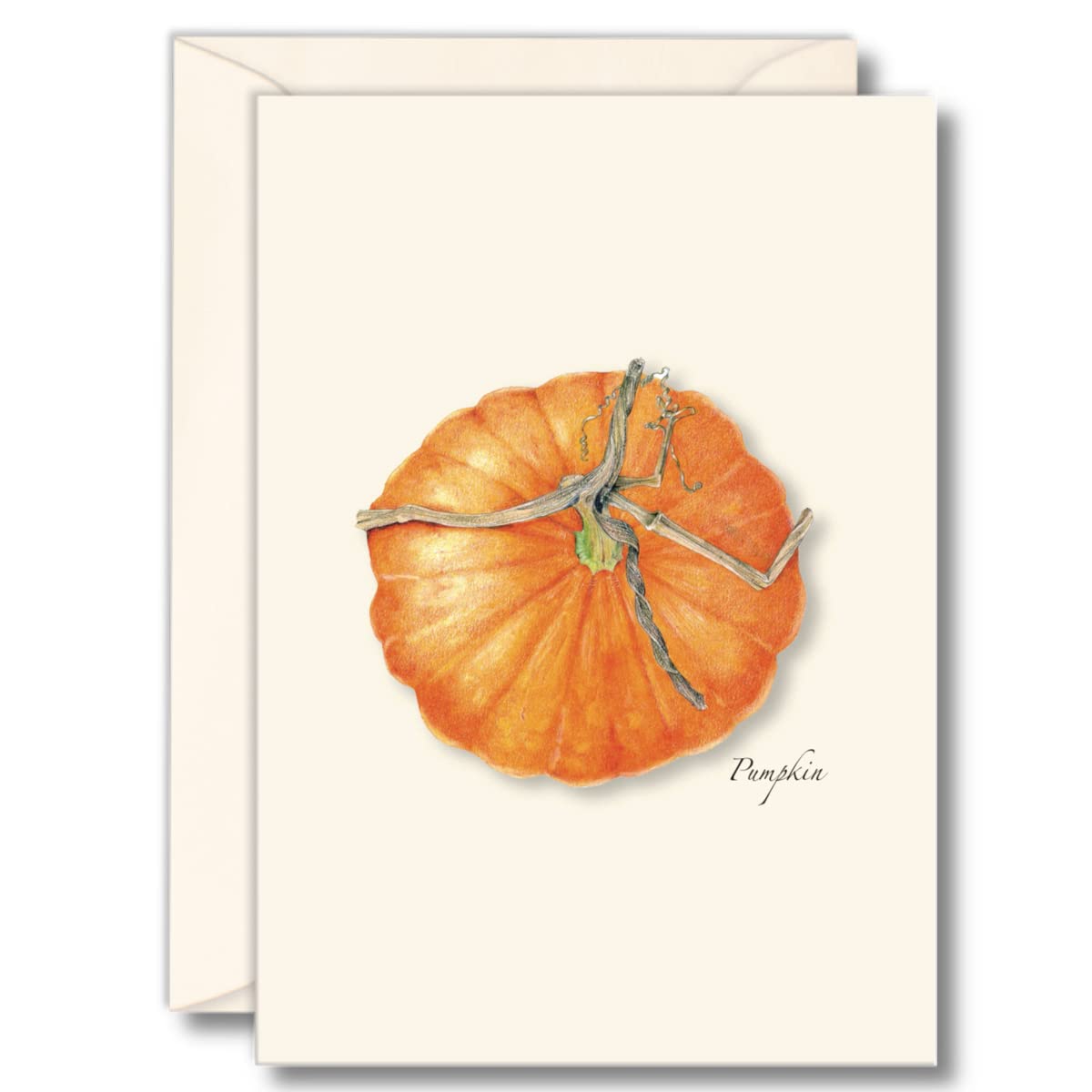 Earth Sky + Water - Pumpkin Notecard Set - 8 Blank Cards with Envelopes