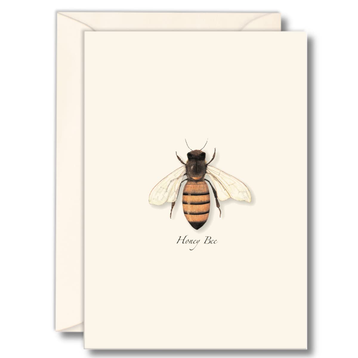 Earth Sky + Water - Honey Bee Notecard Set - 8 Blank Cards with Envelopes