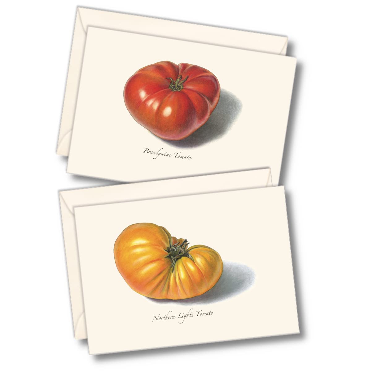 Earth Sky + Water - Tomato Assortment Notecard Set - 8 Blank Cards with Envelopes (4 each of 2 styles)