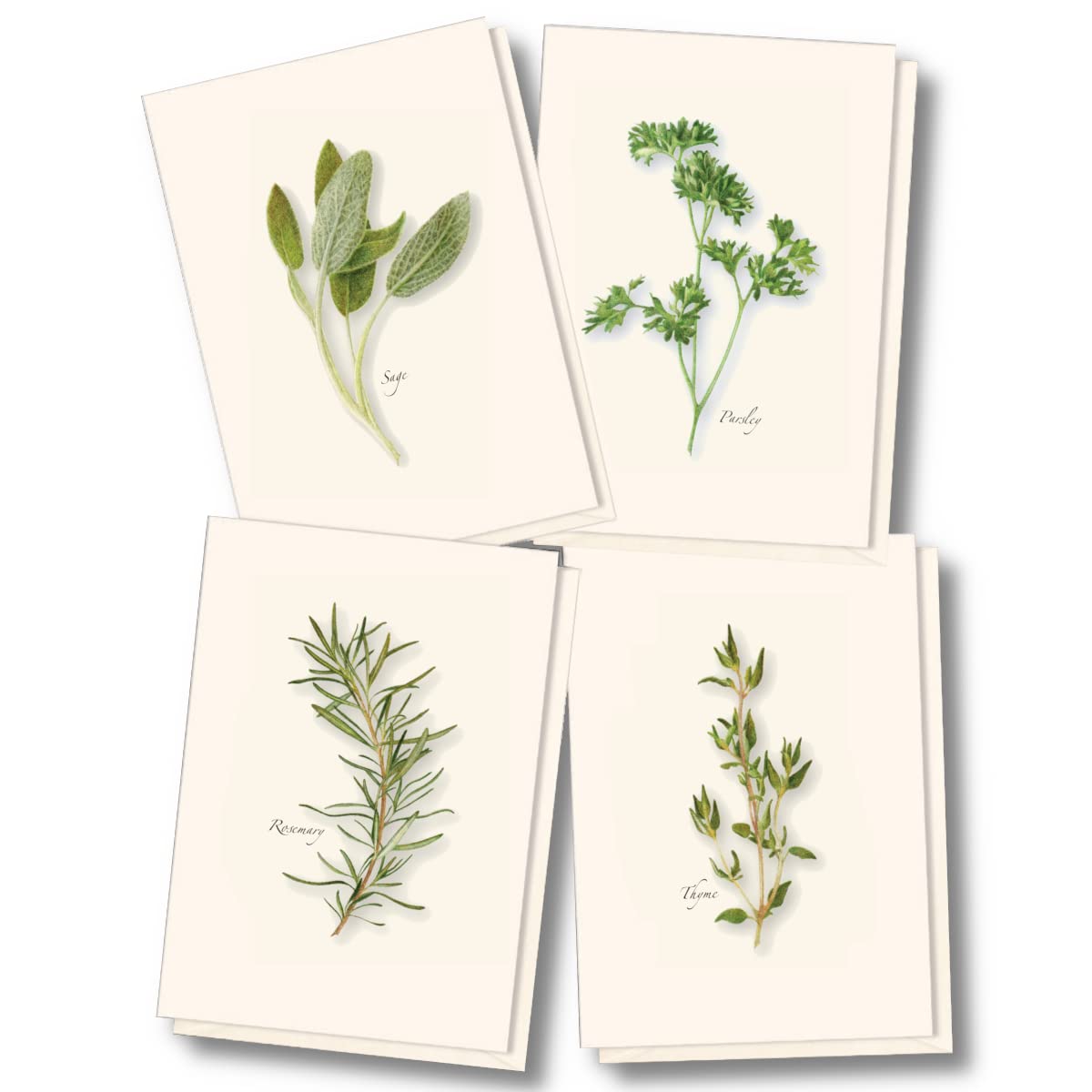 Earth Sky + Water - Herb Assortment Notecard Set - 8 Blank Cards with Envelopes (2 each of 4 styles)