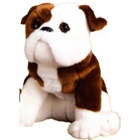Bouledogue Douglas Hardy 16"
