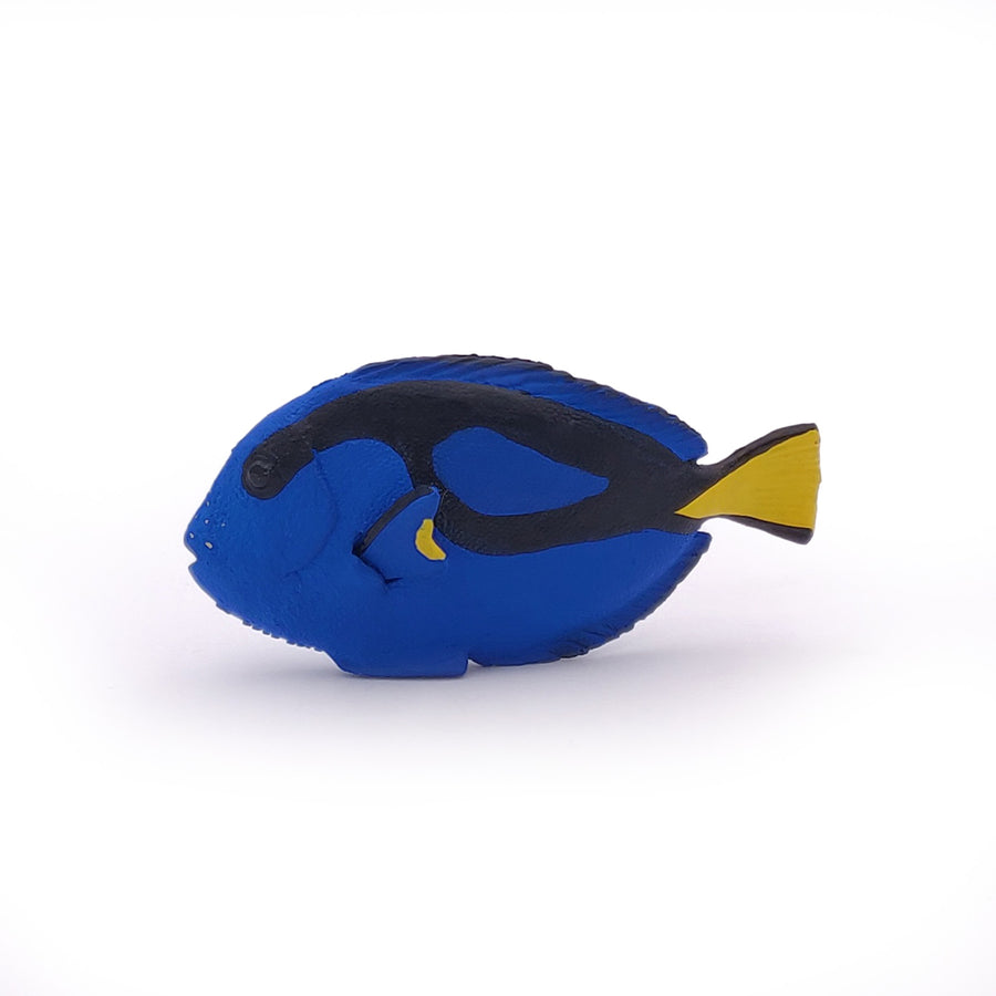 Papo Surgeonfish Hand Painted Figurine - Heirloom Quality Collectible (56024)