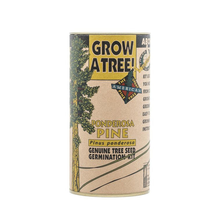 Ponderosa Pine - Seed Grow Kit by Jonsteen Company