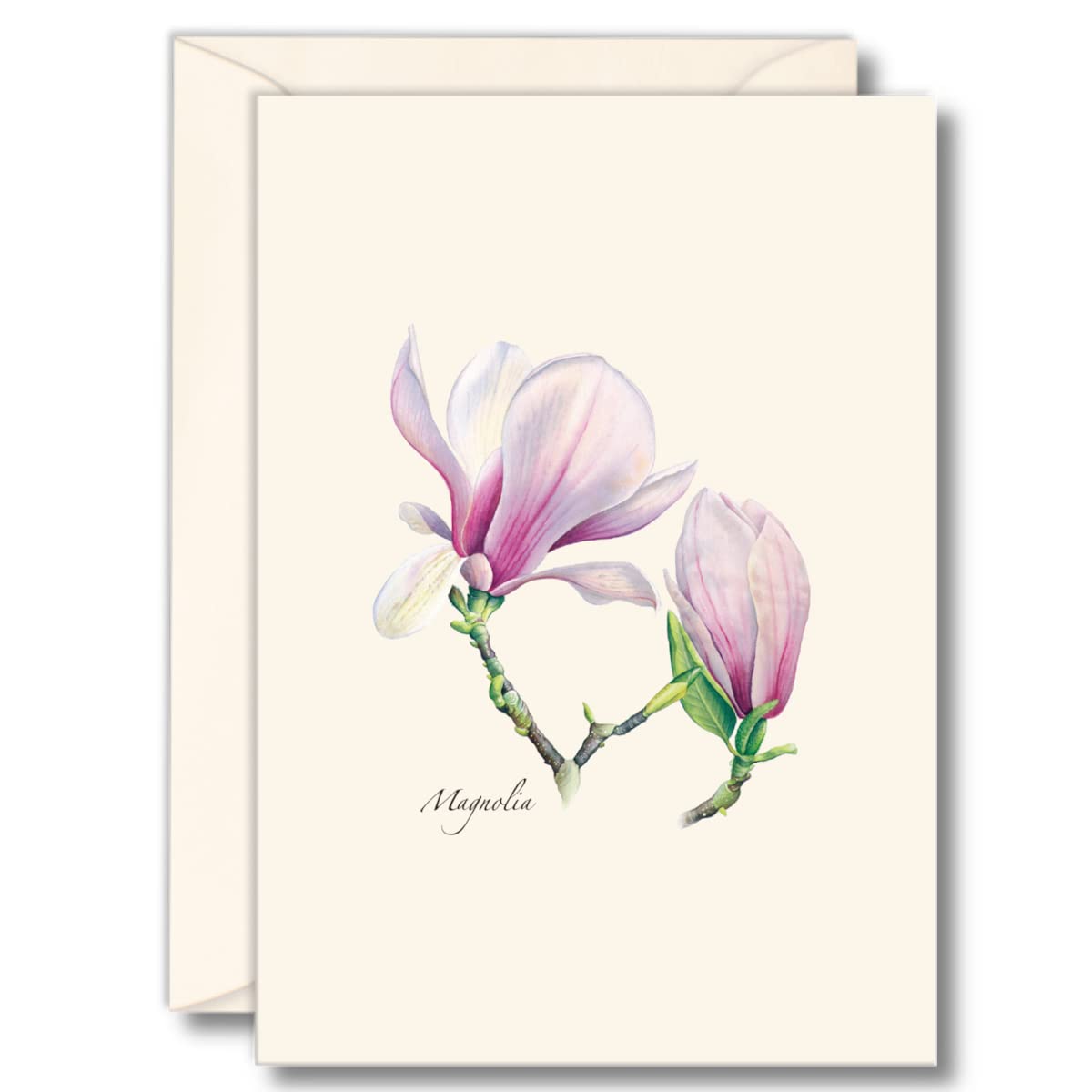 Earth Sky + Water - Magnolia Notecard Set - 8 Blank Cards with Envelopes