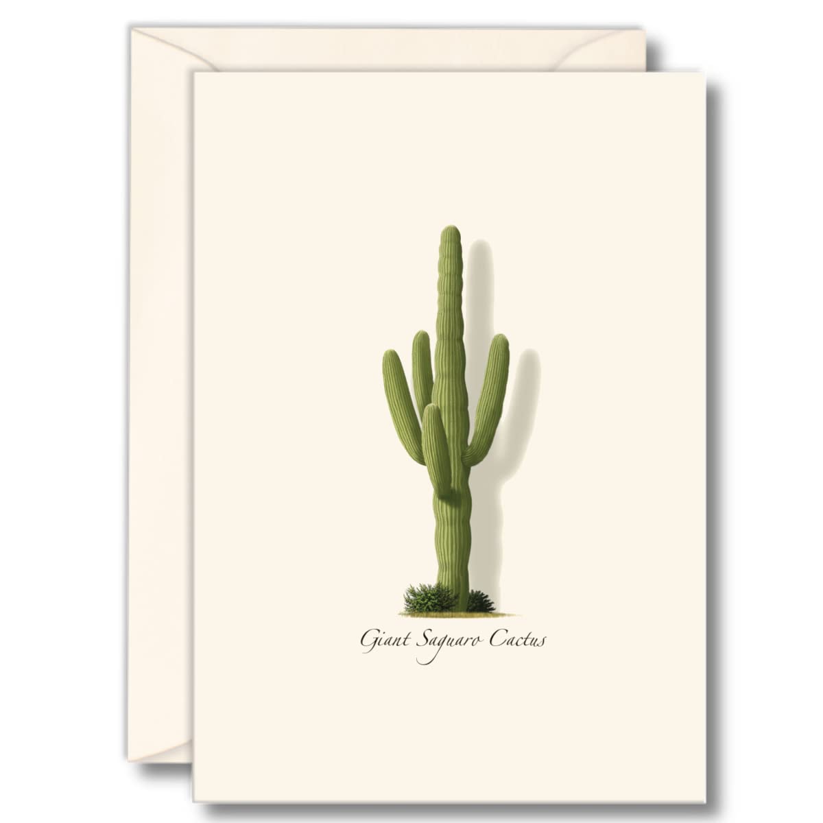 Earth Sky + Water - Giant Saguaro Notecard Set - 8 Blank Cards with Envelopes