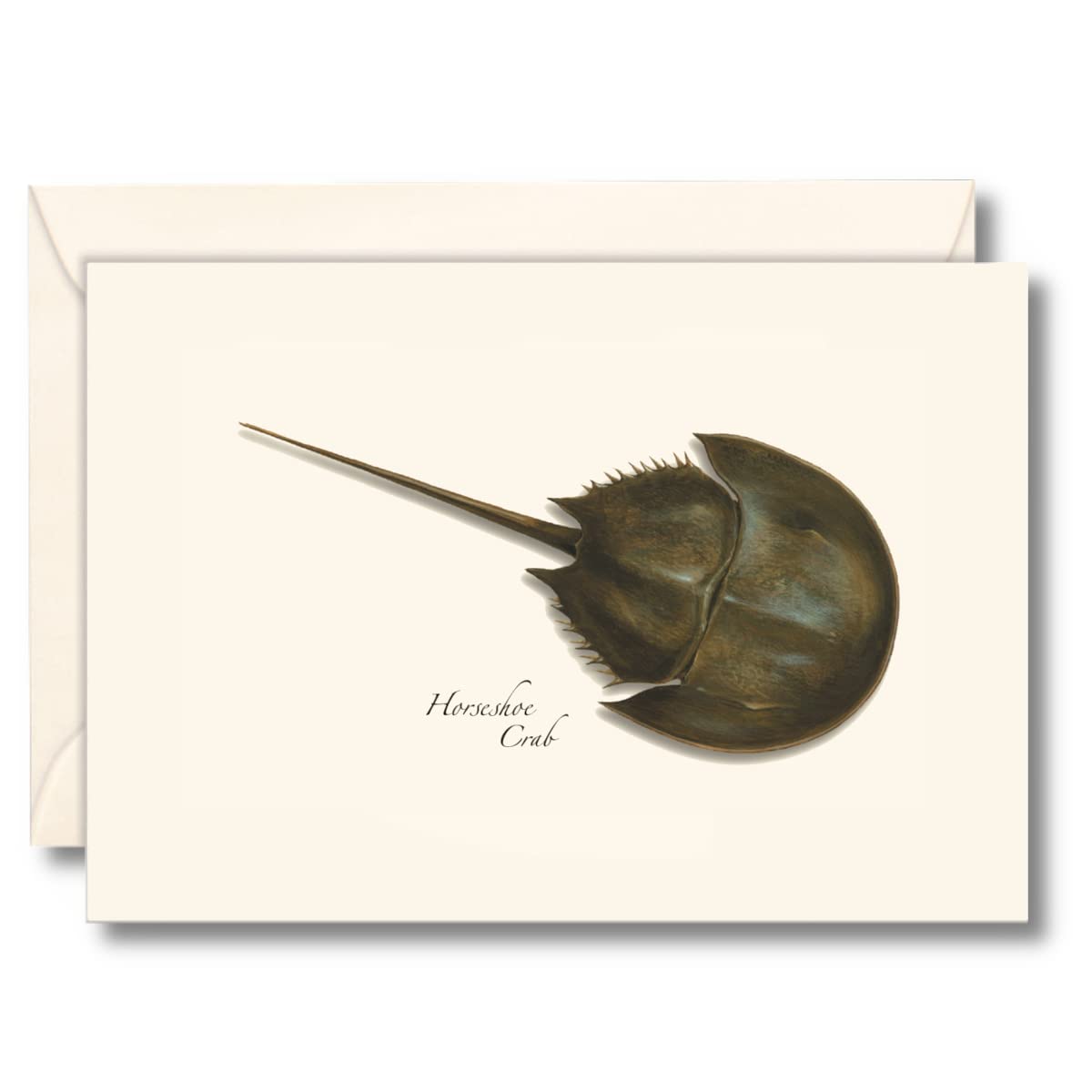Earth Sky + Water - Horseshoe Crab Notecard Set - 8 Blank Cards with Envelopes