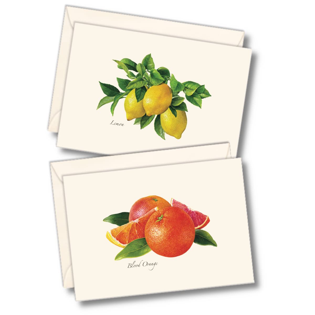 Earth Sky + Water - Citrus Assortment Notecard Set - 8 Blank Cards with Envelopes (4 each of 2 styles)