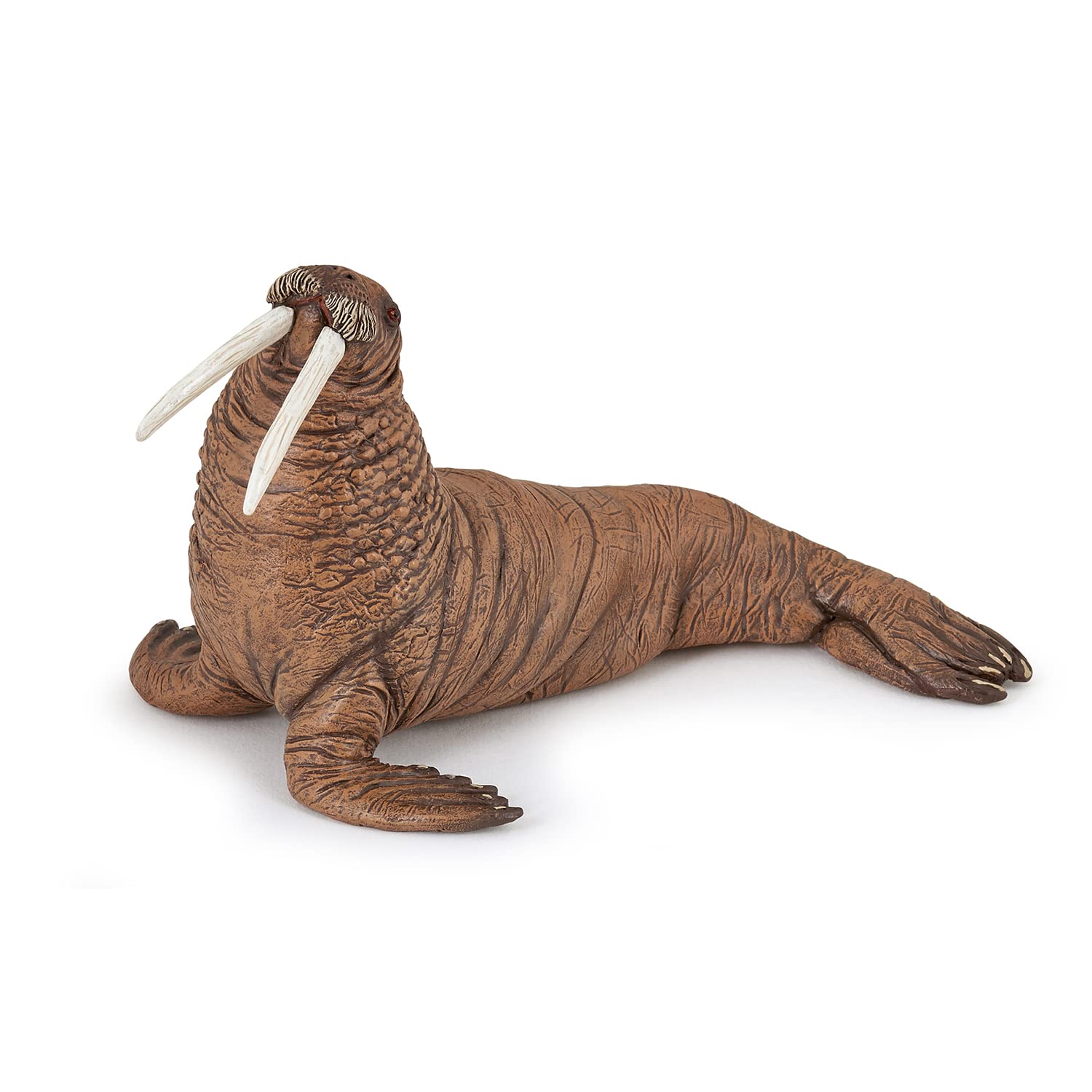 Papo Walrus - Hand Painted Figurine - Heirloom Quality Collectible (56030)