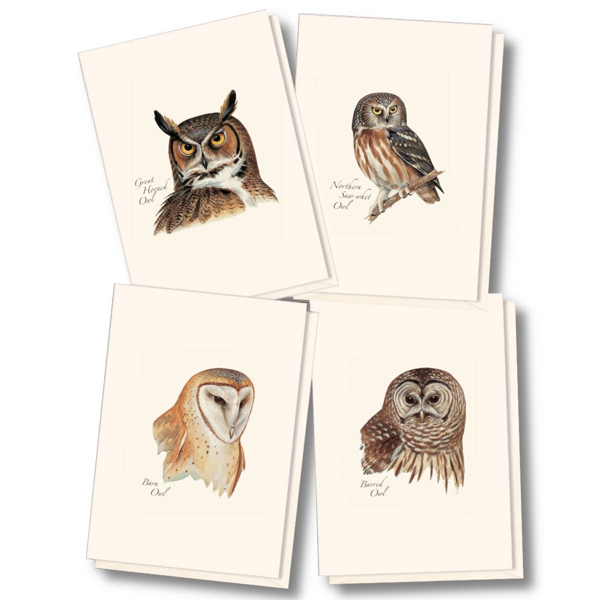 Earth Sky + Water - Petersons Owl Assortment Notecard Set - 8 Blank Cards with Envelopes (2 each of 4 styles)