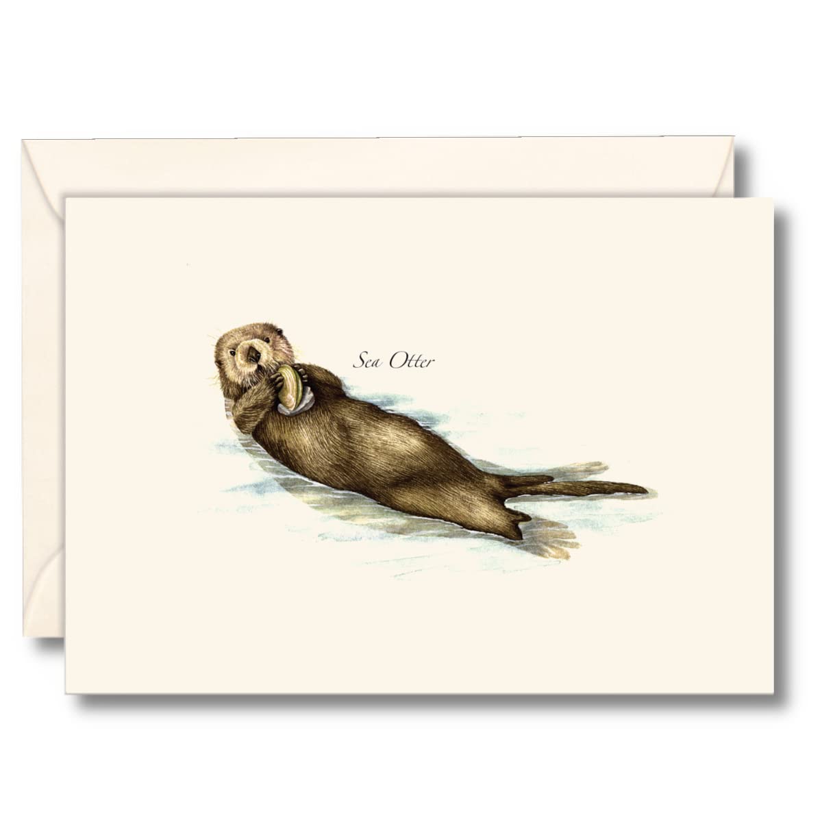 Earth Sky + Water - Sea Otter Boxed Notes