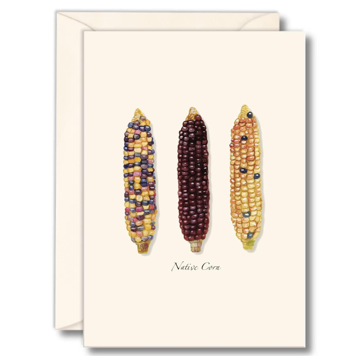 Earth Sky + Water - Native Corn Notecard Set - 8 Blank Cards with Envelopes