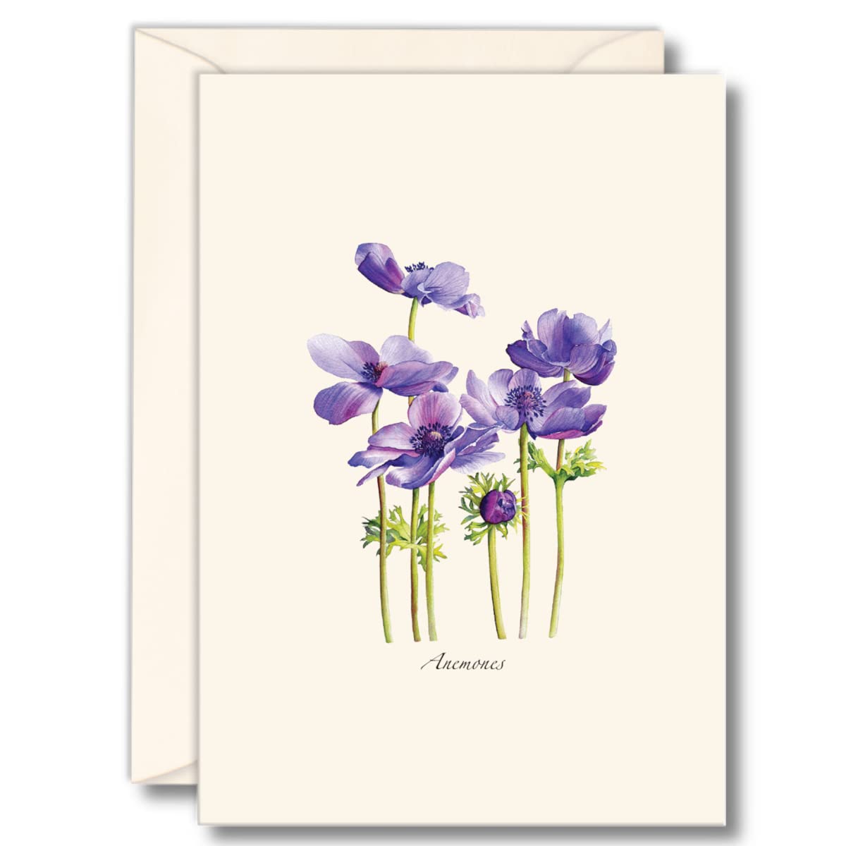 Earth Sky + Water - Anemones Notecard Set - 8 Blank Cards with Envelopes