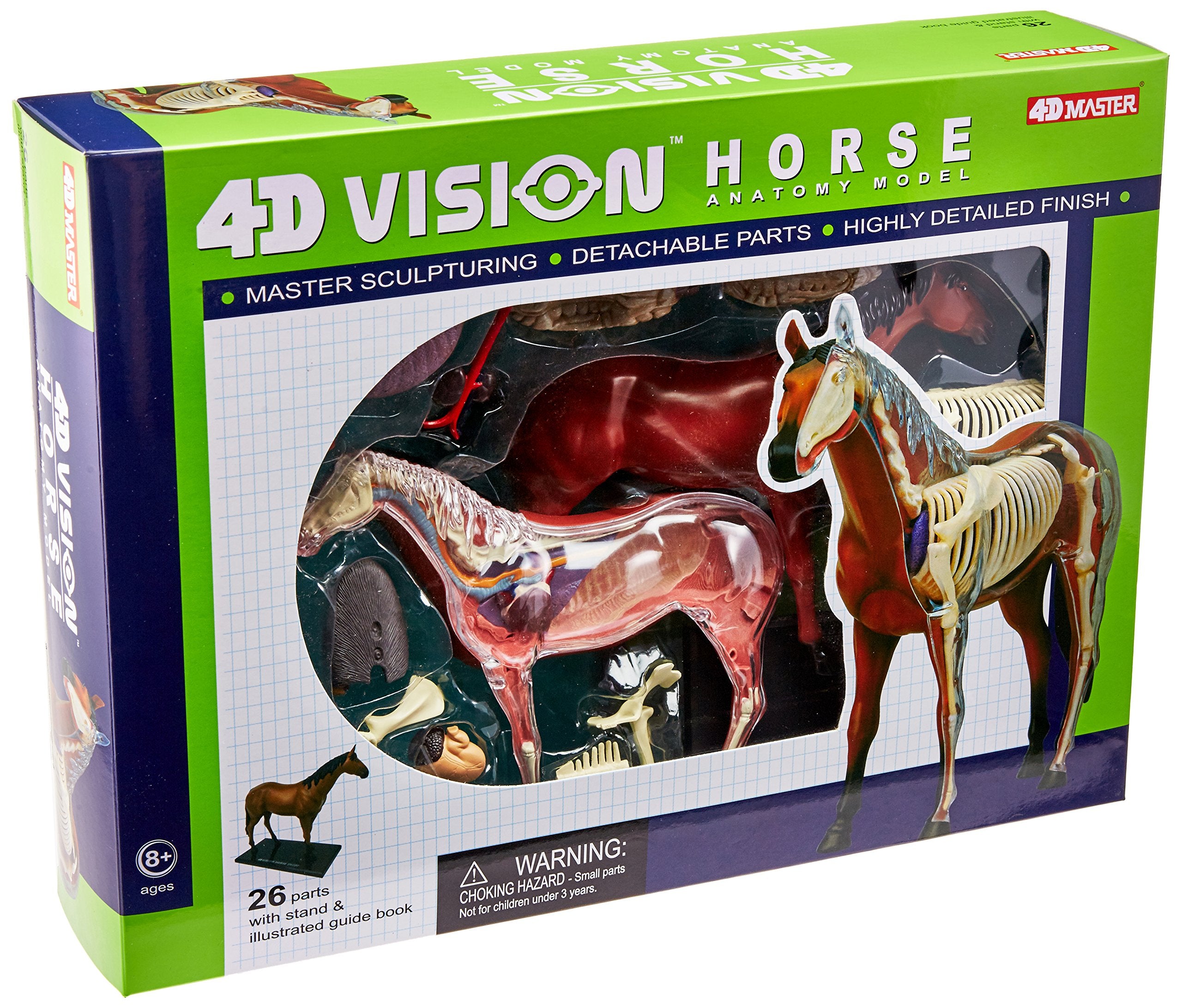 Modelo de caballo con visión 4D de Tedco