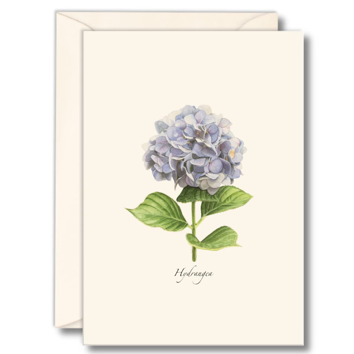 Earth Sky + Water - Hydrangea Notecard Set - 8 Blank Cards with Envelopes