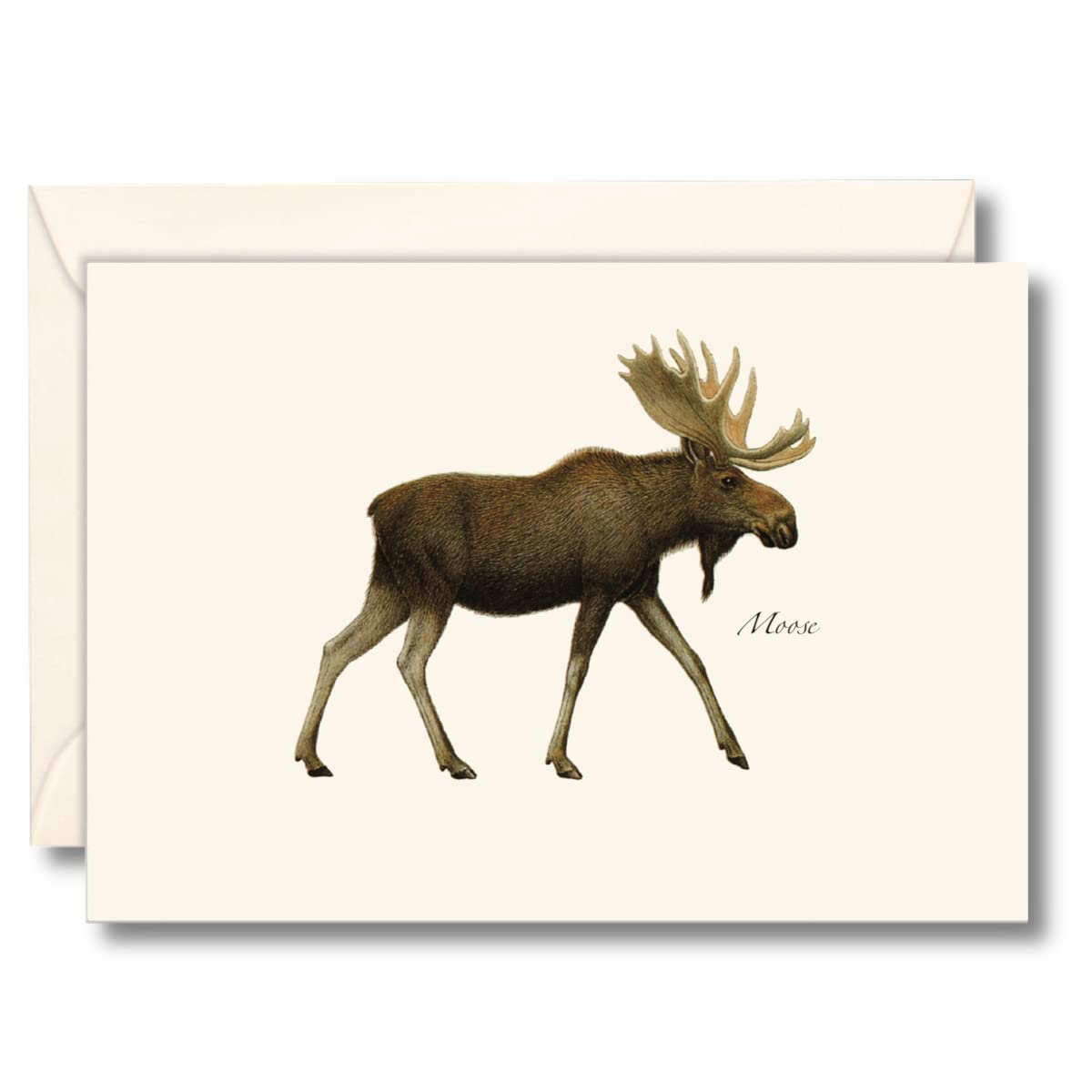 Earth Sky + Water - Moose Notecard Set - 8 Blank Cards with Envelopes