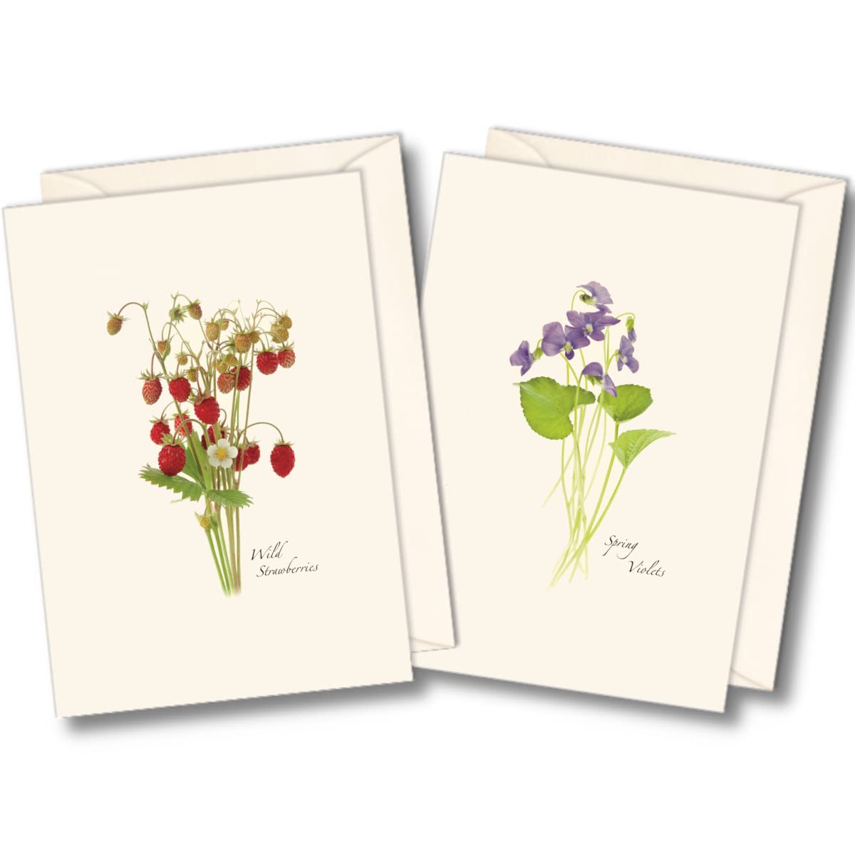 Earth Sky + Water - Wildflower Assortment III Notecard Set - 8 Blank Cards with Envelopes (4 Each of 2 Styles)