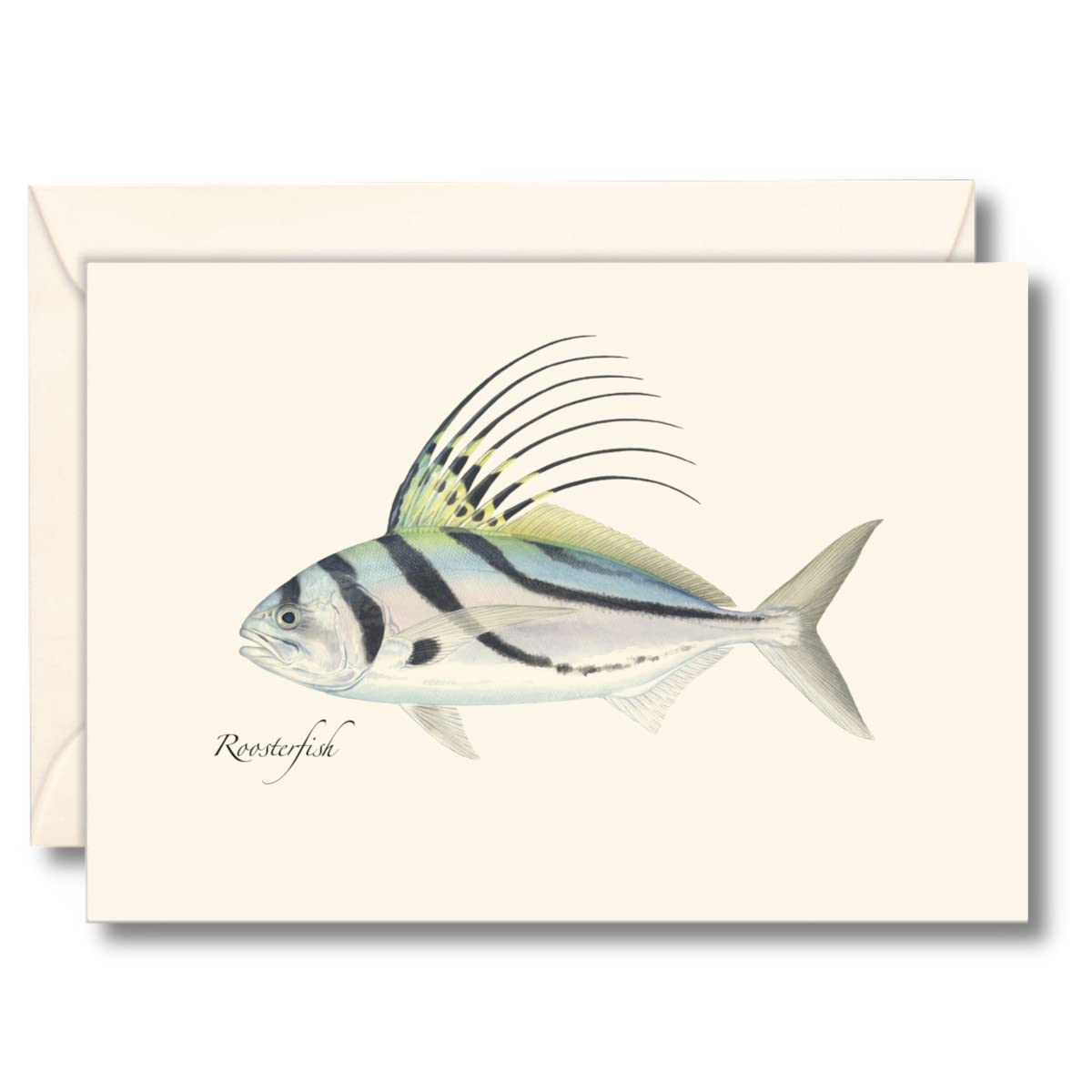 Earth Sky + Water - Roosterfish Notecard Set - 8 Blank Cards with Envelopes