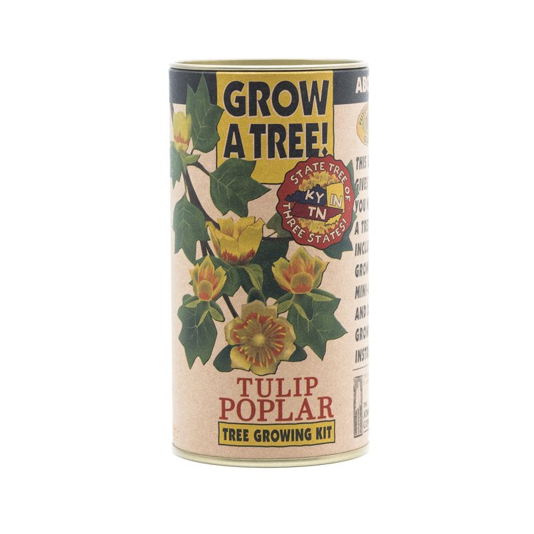 Tulip Poplar - Seed Grow Kit by Jonsteen Company